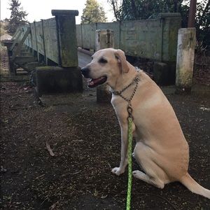 Meet your Posher, Sara